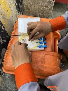 Thi công mạng LAN cho công ty Tân Cảng - Cái Mép TCIT